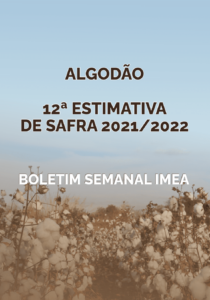 blog-12-estimativa-safra-21-22