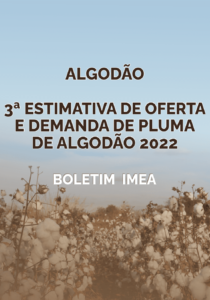 blog-3-estimativa-pluma-2022